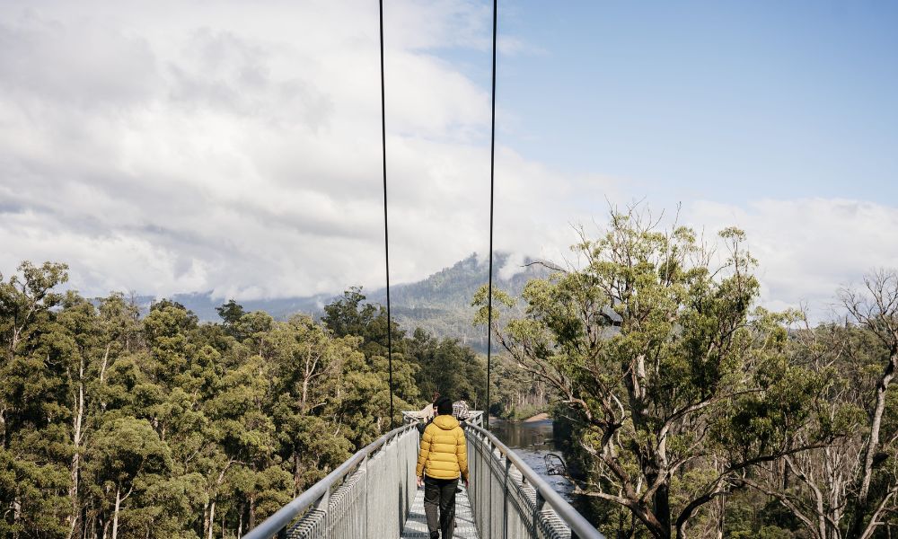 Tahune AirWalk General Entry