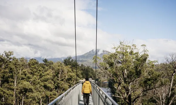 Tahune AirWalk General Entry