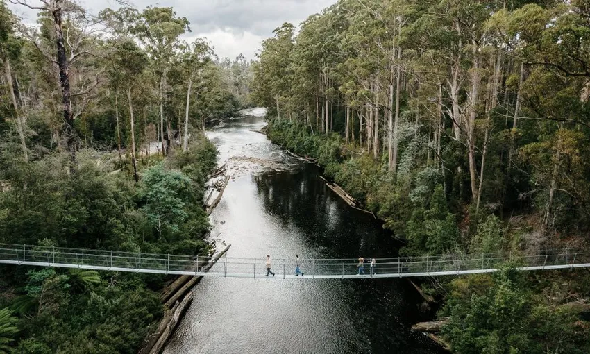Tahune AirWalk General Entry