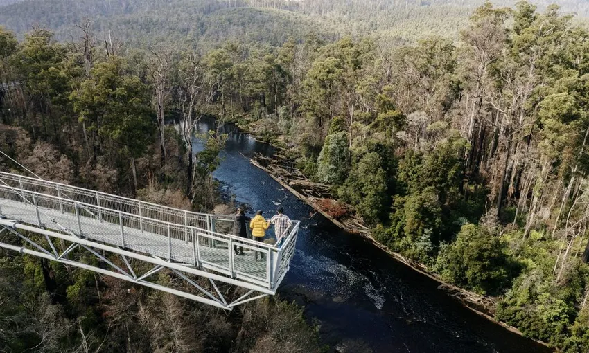Tahune AirWalk General Entry