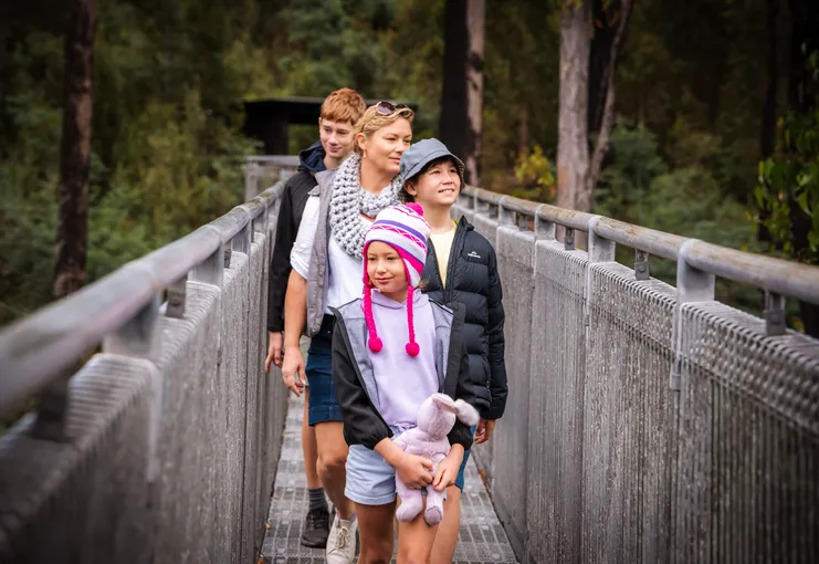 Tahune AirWalk General Entry
