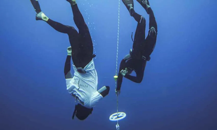 Airlie Beach 2 Day Learn to Freedive Course - Book Now | Experience OZ