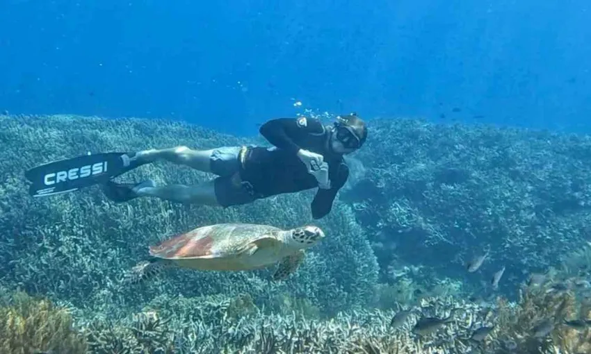 Airlie Beach 2 Day Learn to Freedive Course - Book Now | Experience OZ
