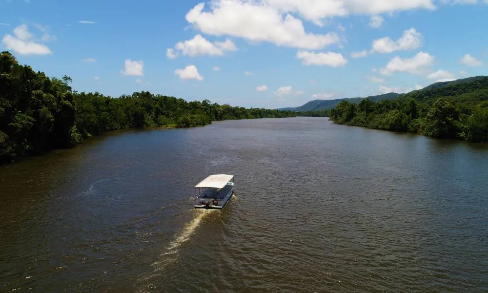 Ultimate Wildlife Experience Cruise- Book Now | Experience Oz-1