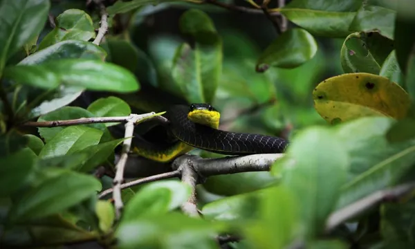 Port Douglas Ultimate Wildlife Cruise