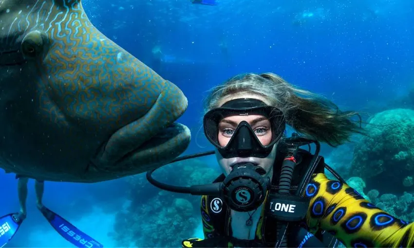 PADI Open Water Dive Course - 4-Days - Cairns