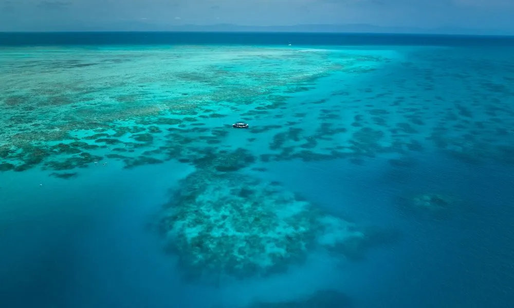 Upolu Cay Reef Adventure From Cairns - Half Day  | Experience OZ-1