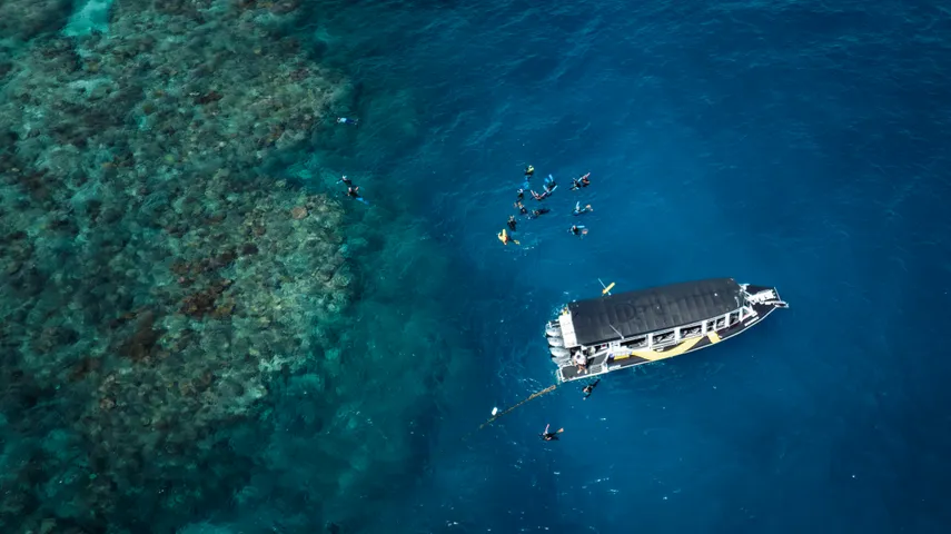 Upolu Cay Reef Adventure From Cairns - Half Day  | Experience OZ