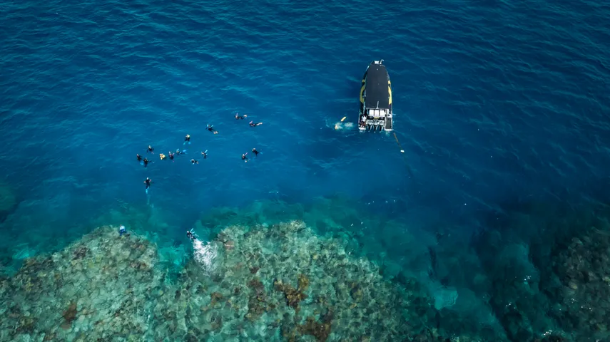 Upolu Cay Reef Adventure From Cairns - Half Day  | Experience OZ