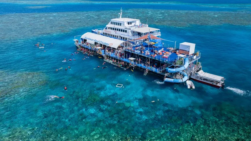 Great Barrier Reef Cruise to Moore Reef with Certified Dive & Lunch | Experience OZ