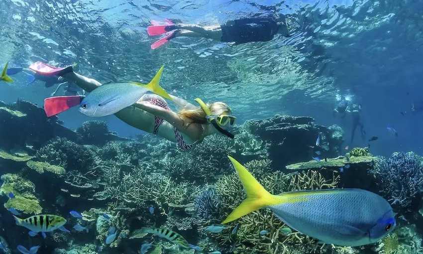 Great Barrier Reef Tour & Scenic Helicopter Flight Cairns | Experience Oz