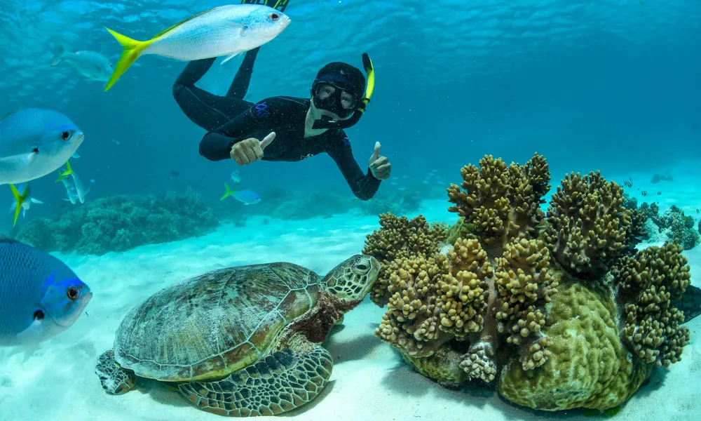 Great Barrier Reef Tour & Scenic Helicopter Flight Cairns | Experience Oz-11