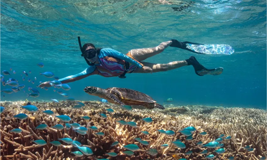 Lady Musgrave Island Day Trip from Bundaberg | Experience OZ