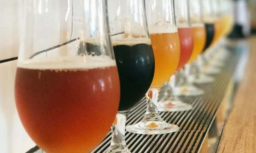 Sunshine Coast Brewery Tour - Book Now | Experience Oz
