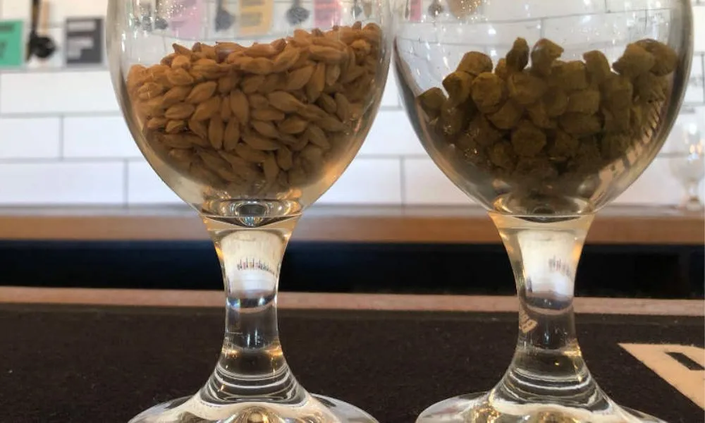 Sunshine Coast Brewery Tour - Book Now | Experience Oz-6