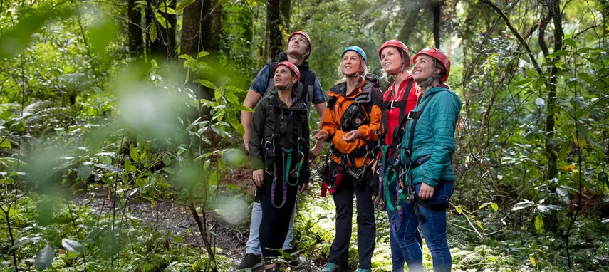 Ultimate Zipline Canopy Tour, 3.5 Hours - Rotorua