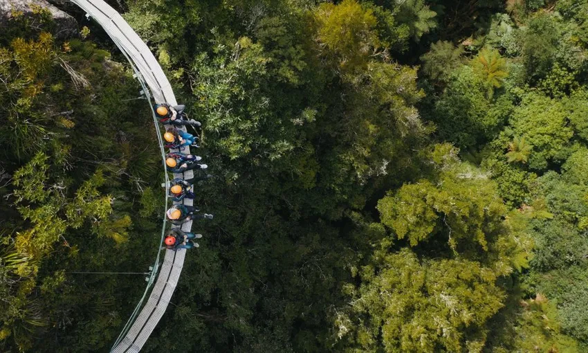 Ultimate Zipline Canopy Tour, 3.5 Hours - Rotorua