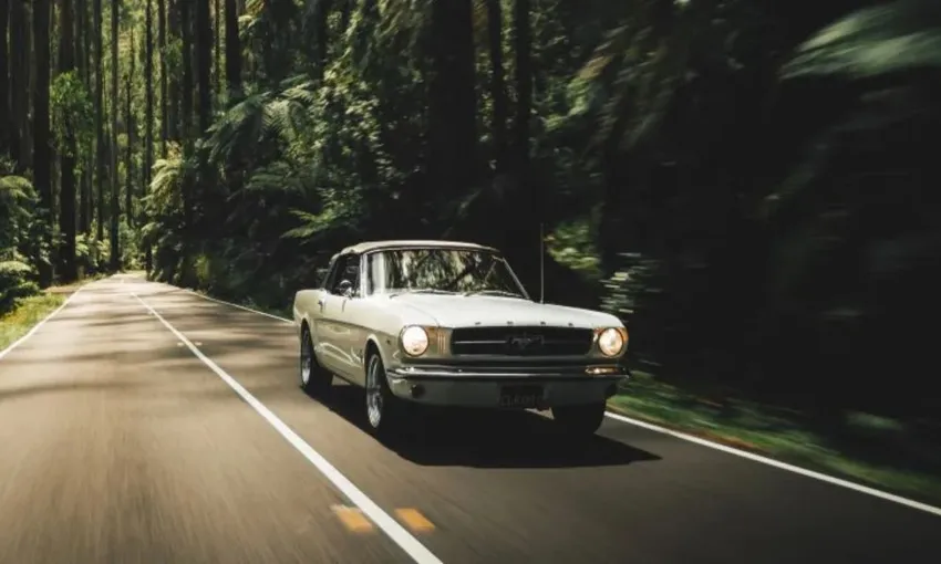 Moorabbin 1965 Ford Mustang Convertible Car Hire, Full Day