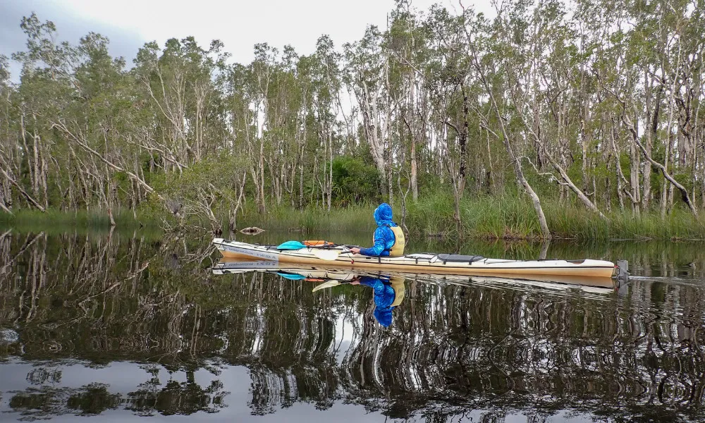 Noosa Everglades 1 Day Guided Kayak Tour | Experience OZ-5