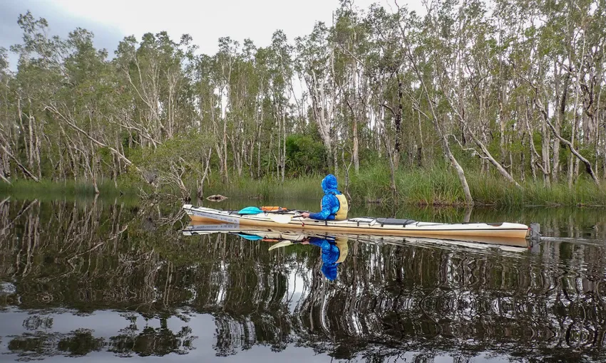 Noosa Everglades 1 Day Guided Kayak Tour | Experience OZ