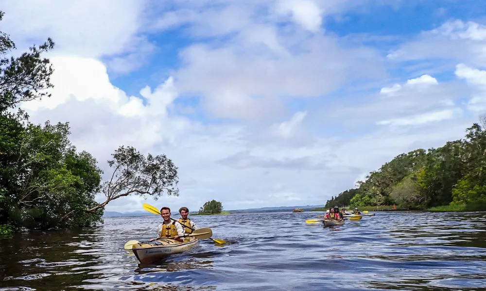 Noosa Everglades 1 Day Guided Kayak Tour | Experience OZ-3