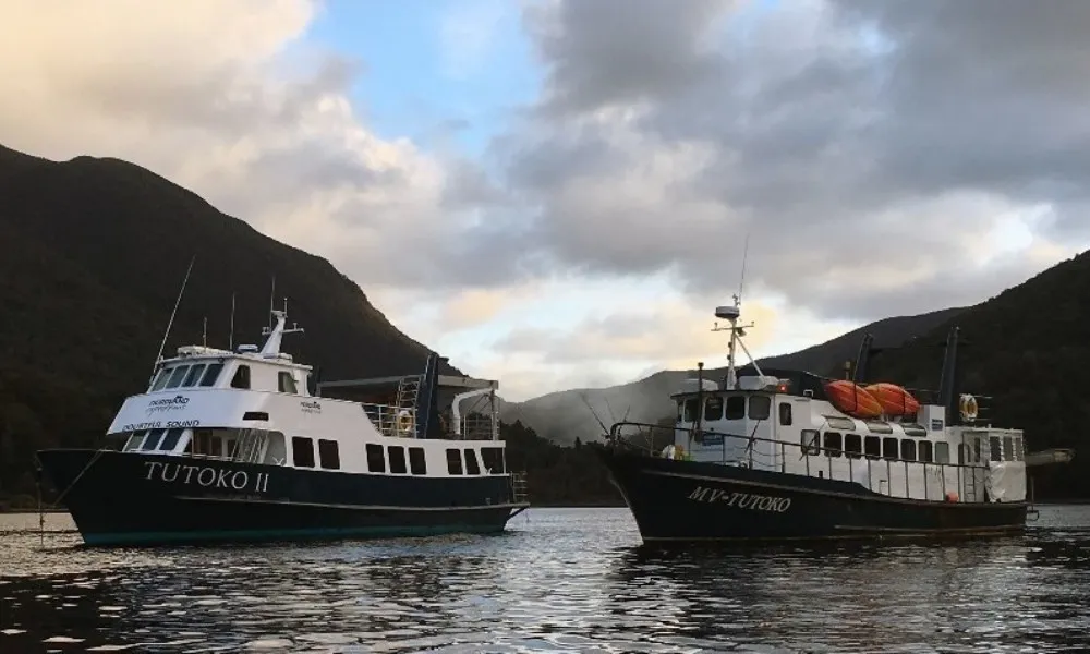 Doubtful Sound Overnight Cruise - 1.5 Days | Experience OZ-1