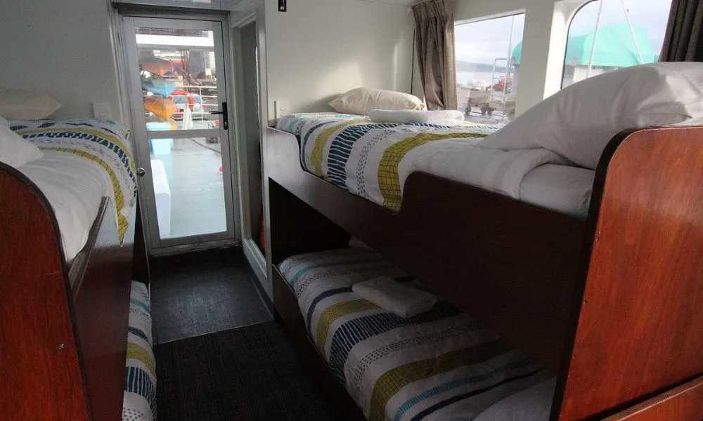 Doubtful Sound Overnight Cruise - 1.5 Days | Experience OZ-6