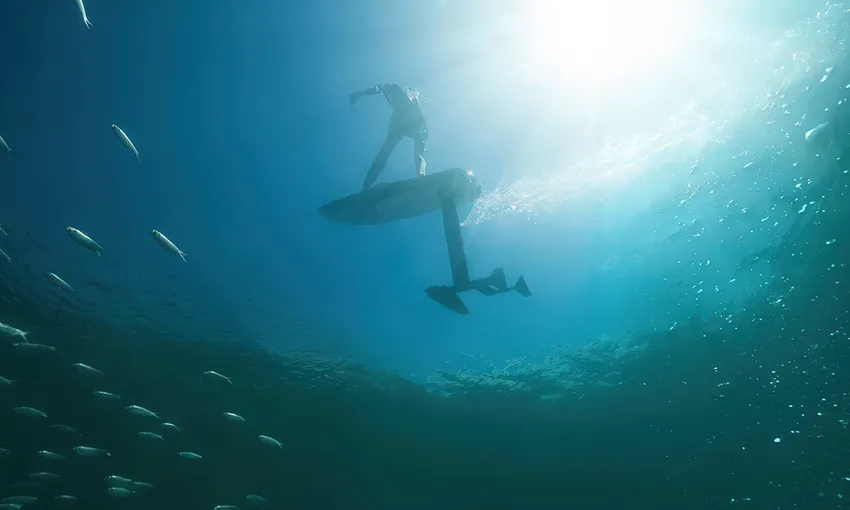 North Turramurra Fliteboard Lesson, 90 Minutes
