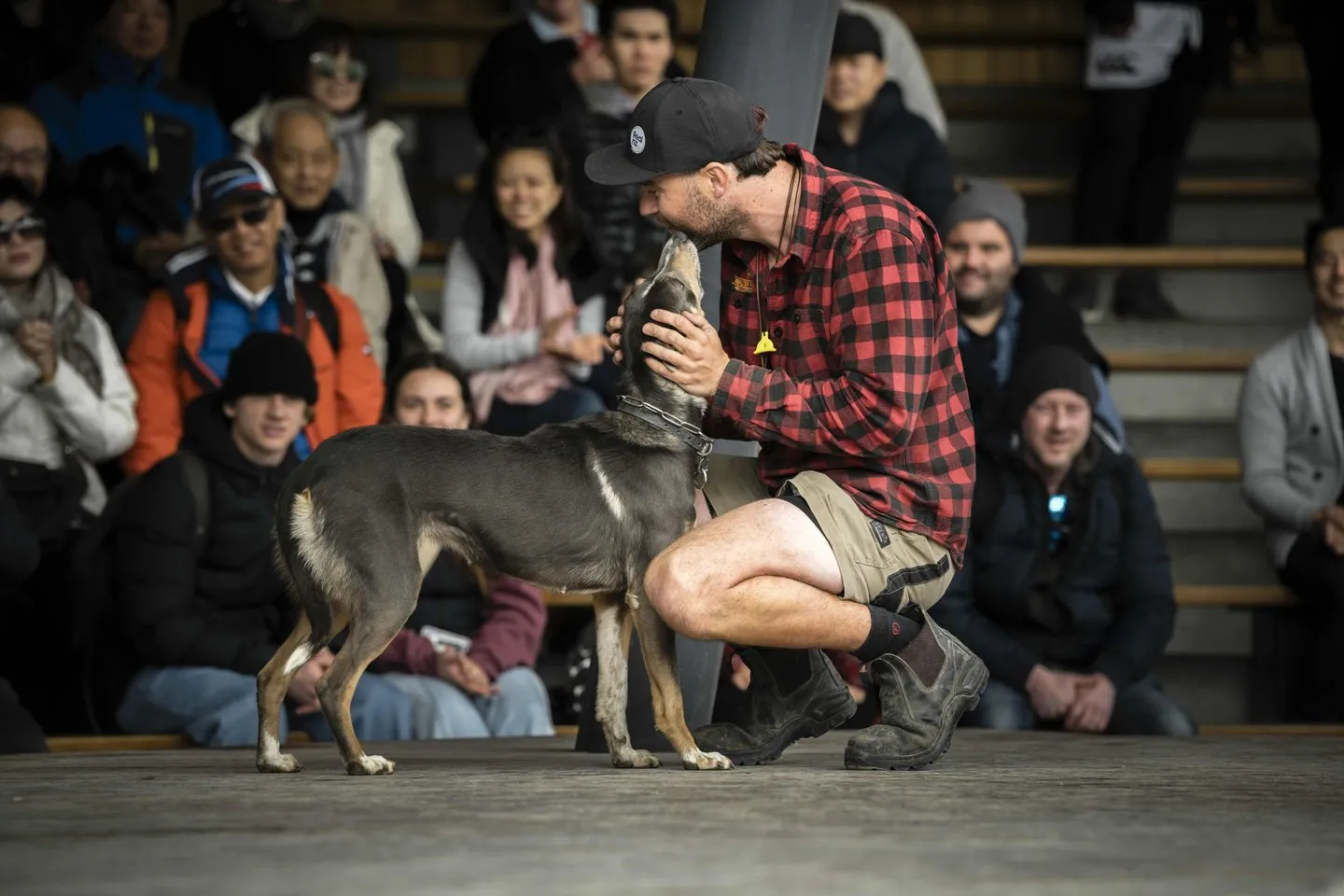 Queenstown Lake Cruise to Walter Peak with BBQ Dining  | Experience OZ-8