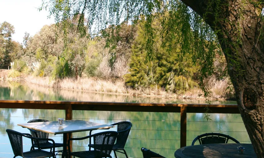 Maggie Beer's Farm Shop Interactive Cooking Demonstration - Book Now | Experience Oz