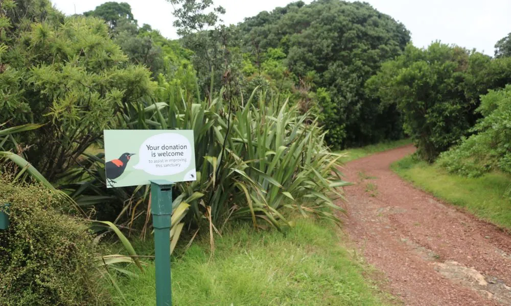 Full Day Tiritiri Matangi Island Ferry - Book Now | Experience Oz-5
