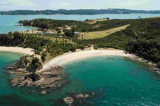 Tikapa Moana: Whales, Dolphins and Islands Cruise