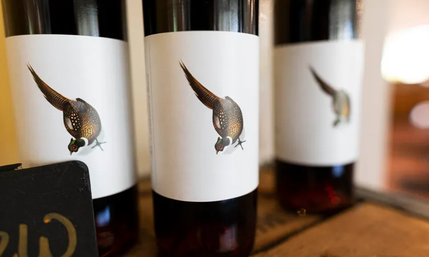 Maggie Beer's Pheasant Farm Wines Tasting- Book Now | Experience Oz
