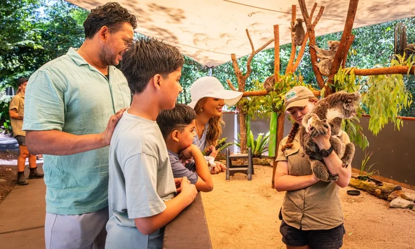 Kuranda Scenic Rail Skyrail and Hartley's Crocodiles Experience  | Experience Oz
