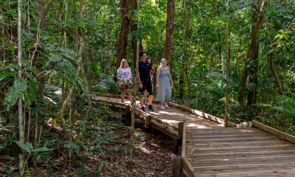 Wildlife Tour, Cape Tribulation and Daintree Wilderness - Cairns