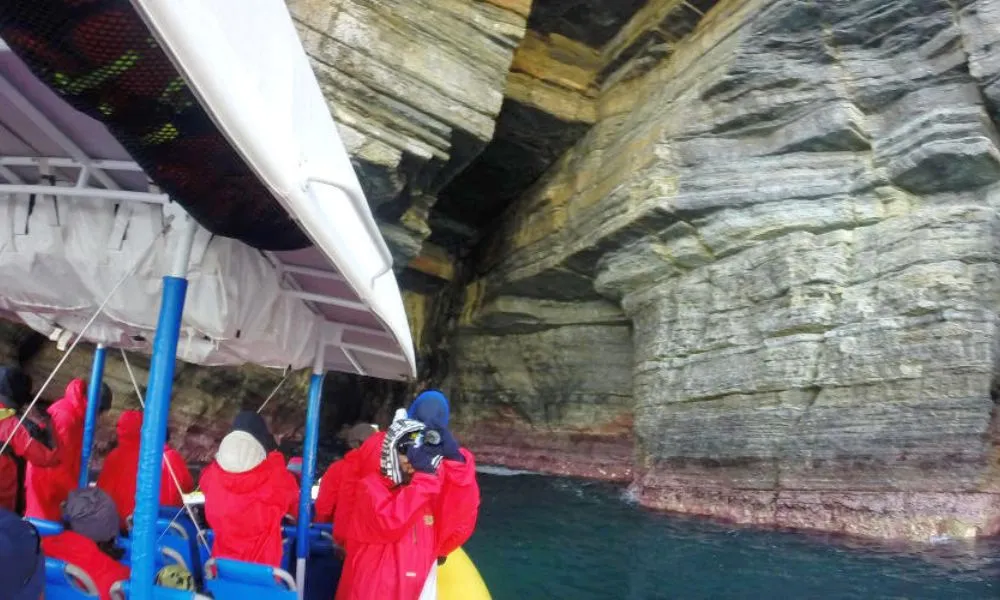 Tasman Island Cruise (Self Drive) | Experience Oz-2