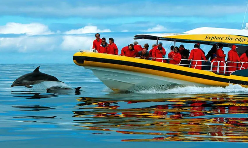 Tasman Island Cruise (Self Drive) | Experience Oz