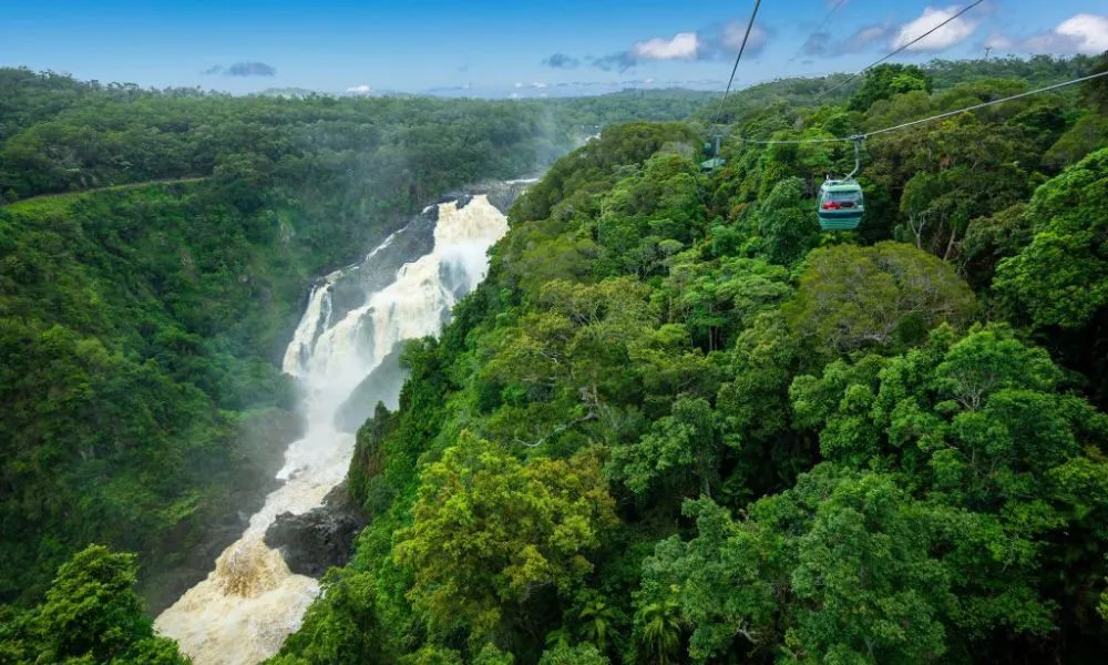 Kuranda Skyrail & Railway Tour ex Northern Beaches | Experience Oz-5