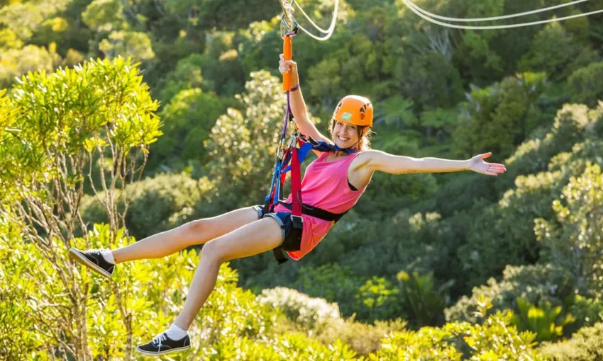 Zipline and Highlights Tour, 3 Hours - Waiheke Island
