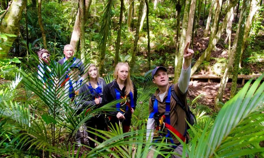 Zipline and Highlights Tour, 3 Hours - Waiheke Island
