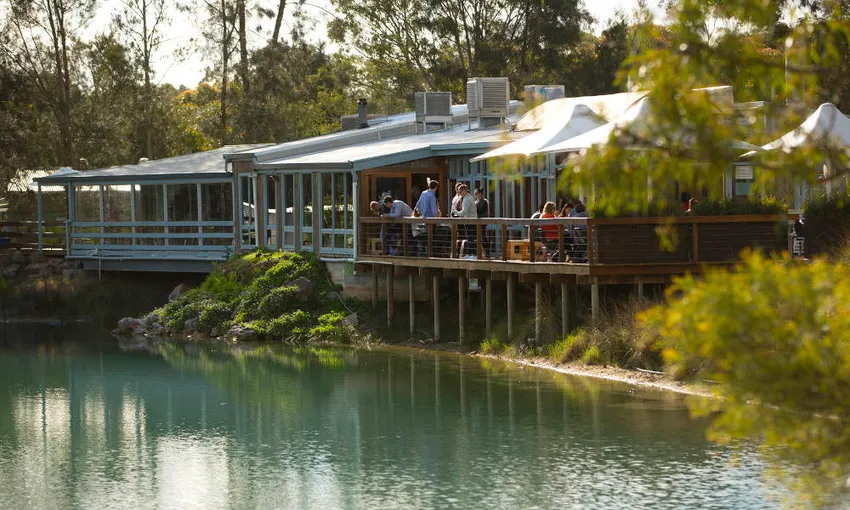 Maggie Beer's Pheasant Farm Wines and Cheese Board Experience- Book Now | Experience Oz