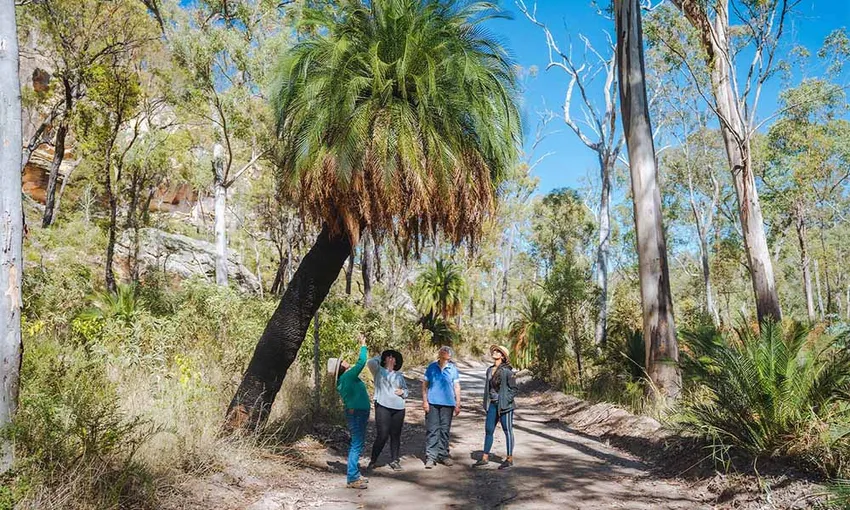 Discover Carnarvon Ranges - Book Now | Experience Oz