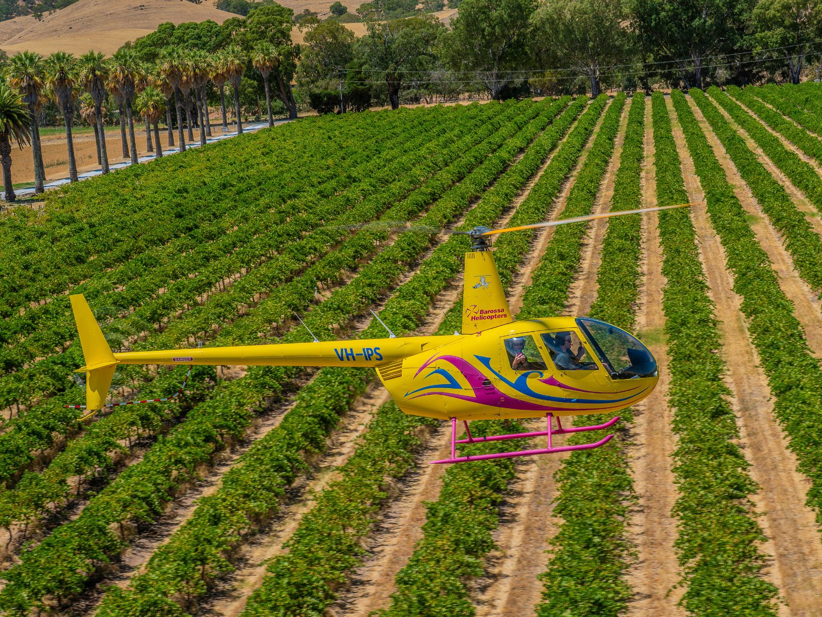 Scenic Helicopter Flight & Outback Pub Experience - Barossa Valley - For 2