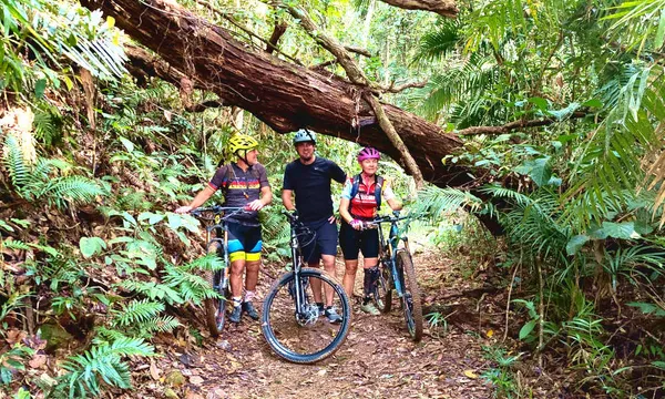 Tablelands Rainforest Mountain Bike Adventure - Full Day