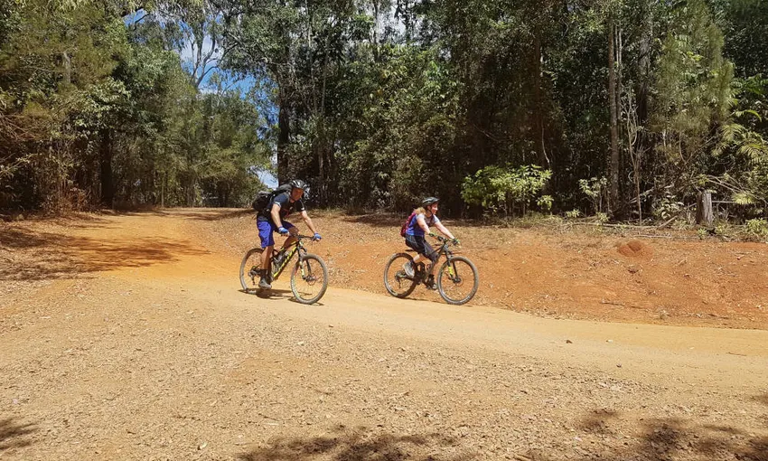 Tablelands Rainforest Mountain Bike Adventure | Experience Oz