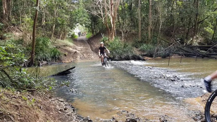 Tablelands Rainforest Mountain Bike Adventure | Experience Oz