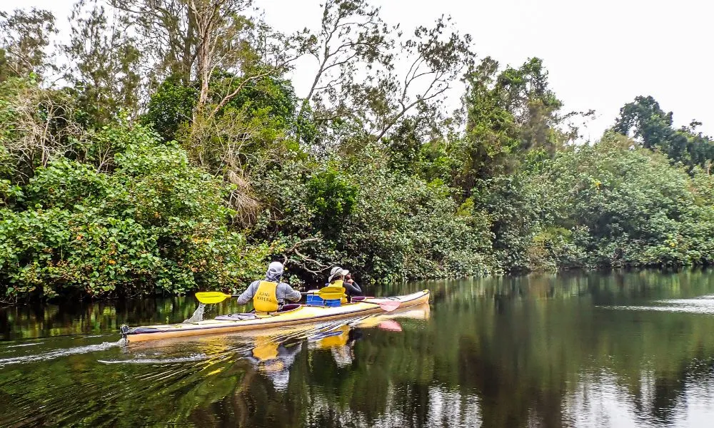 Noosa Everglades Sustainable Self Guided Kayak Day Tour | Experience OZ-2