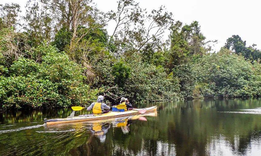 Noosa Everglades Sustainable Self Guided Kayak Day Tour | Experience OZ