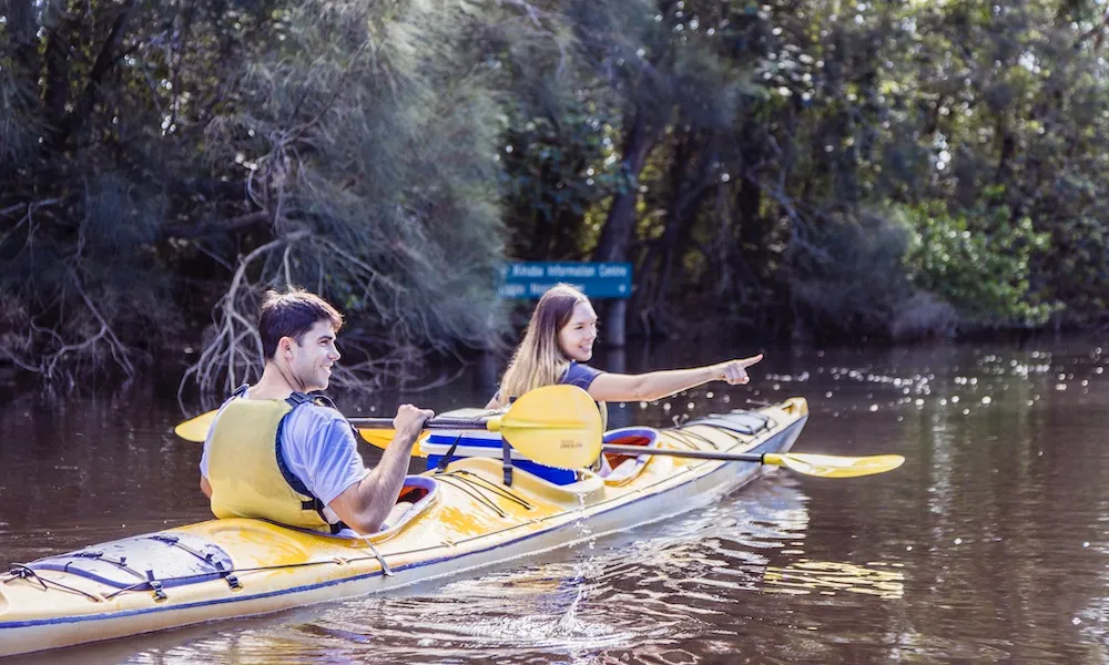 Noosa Everglades Sustainable Self Guided Kayak Day Tour | Experience OZ-1