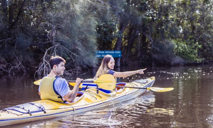 Noosa Everglades Sustainable Self Guided Kayak Day Tour | Experience OZ